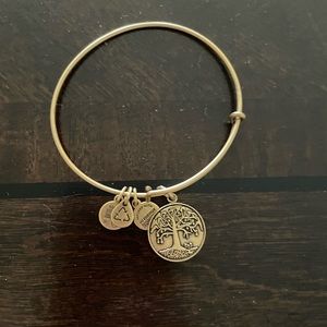 Alex and Ani bracelet and tree of life charm